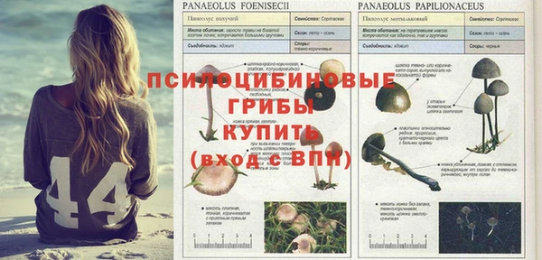 гидропоника Магадан